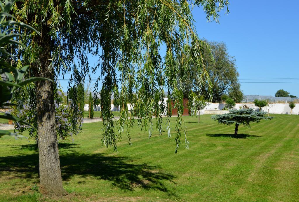 Le Coteau De Bazeille Sauna&Detente Sas Sainte-Bazeille Zewnętrze zdjęcie