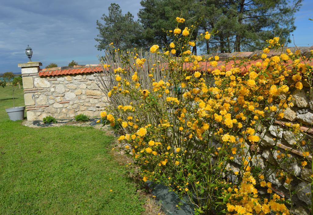 Le Coteau De Bazeille Sauna&Detente Sas Sainte-Bazeille Zewnętrze zdjęcie