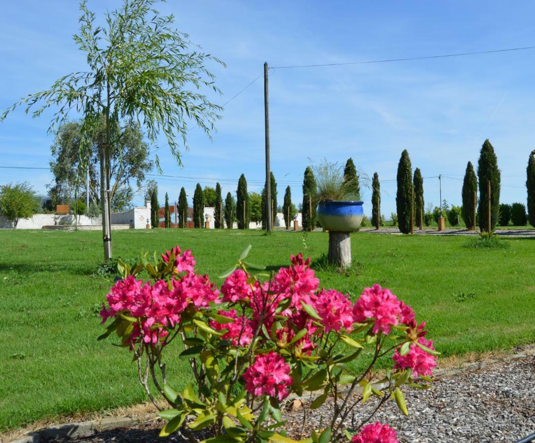 Le Coteau De Bazeille Sauna&Detente Sas Sainte-Bazeille Zewnętrze zdjęcie
