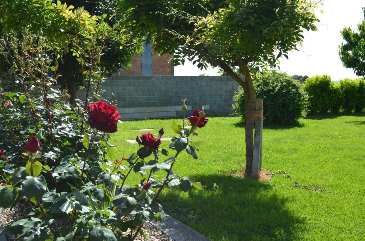 Le Coteau De Bazeille Sauna&Detente Sas Sainte-Bazeille Zewnętrze zdjęcie
